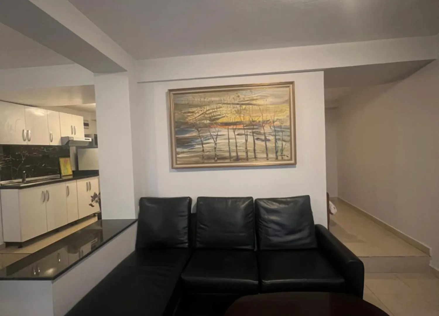 Tirana Center Apartment contacts